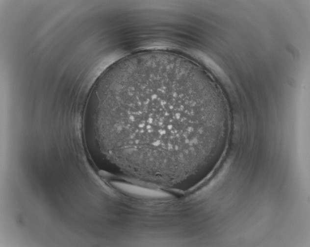 X0000113601329200910091512