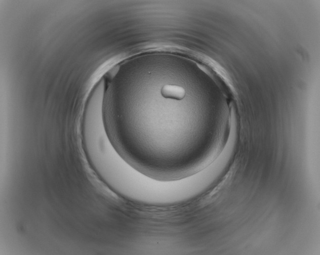 X0000113601330200910091512