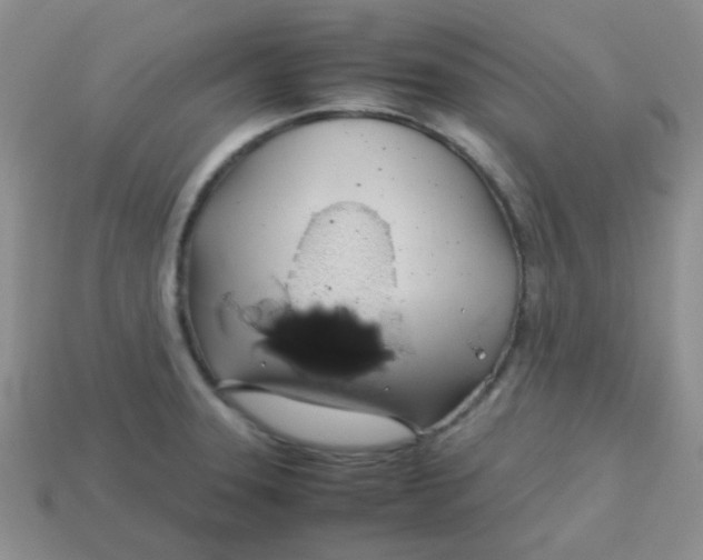 X0000113601331200910091512