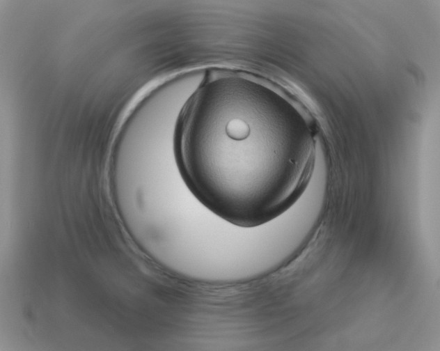 X0000113601332200910091512