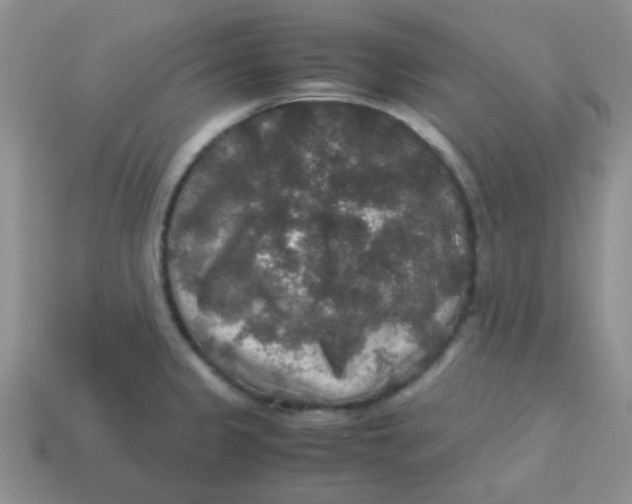 X0000113601333200910091512