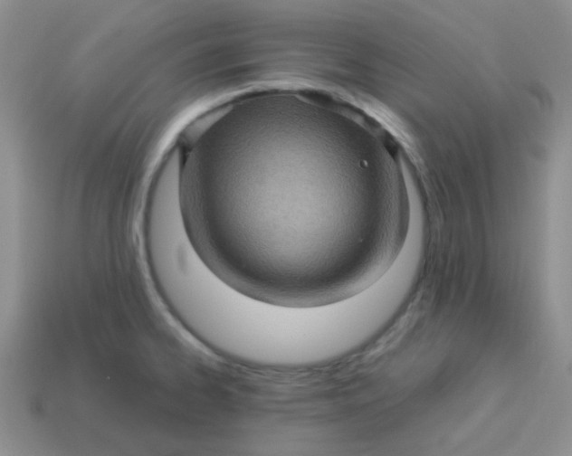 X0000113601334200910091512