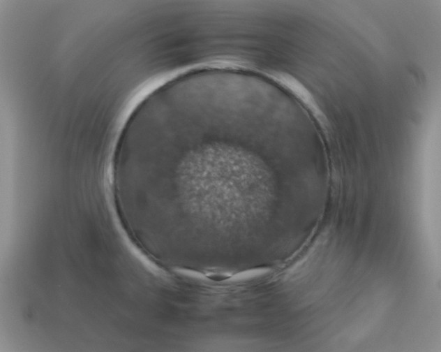 X0000113601335200910091512