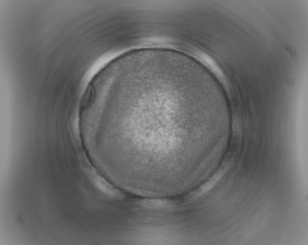 X0000113601336200910091512