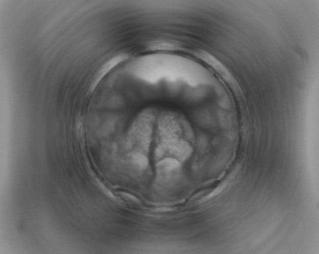 X0000113601337200910091512