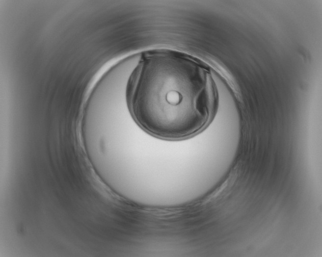 X0000113601340200910091512