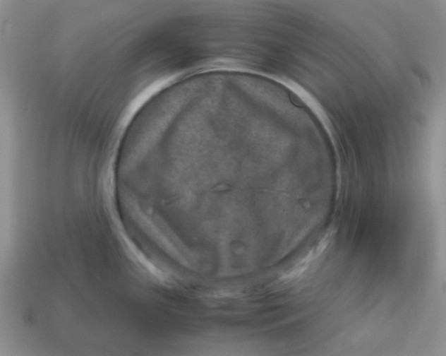 X0000113601341200910091512