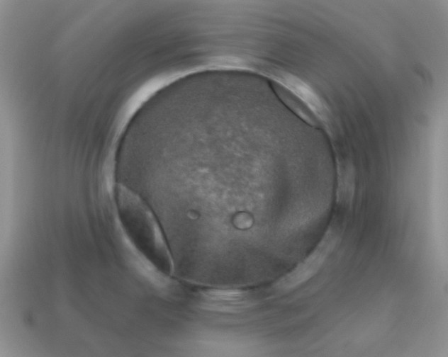 X0000113601342200910091512