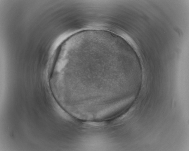 X0000113601344200910091512