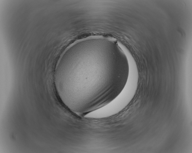 X0000113601345200910091512