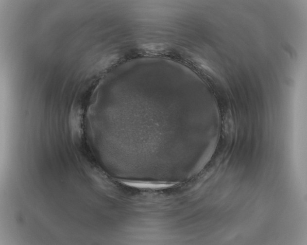 X0000113601346200910091512