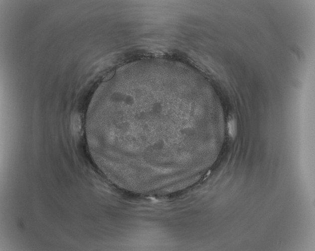 X0000113601347200910091512