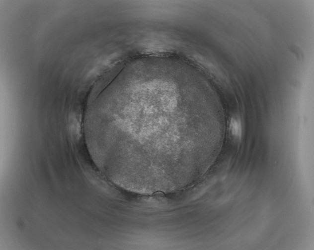 X0000113601348200910091512