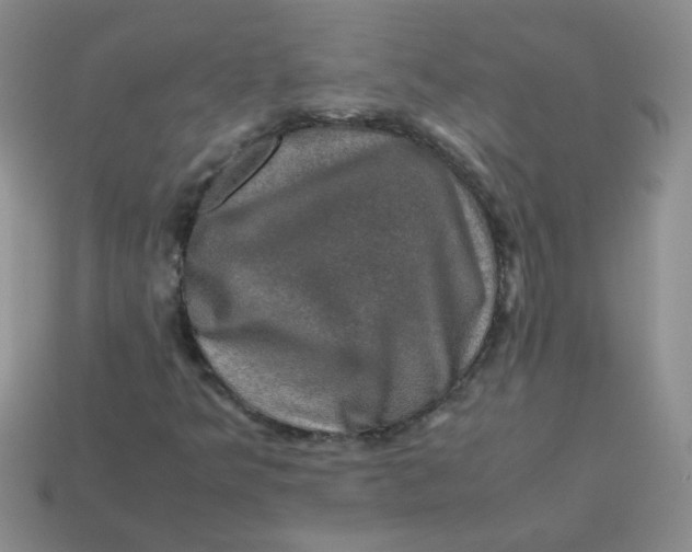 X0000113601349200910091512