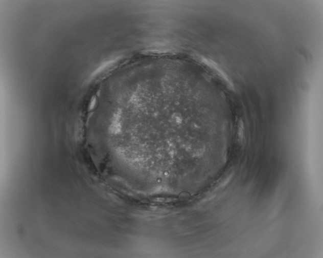 X0000113601350200910091512