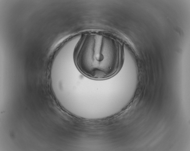 X0000113601352200910091512