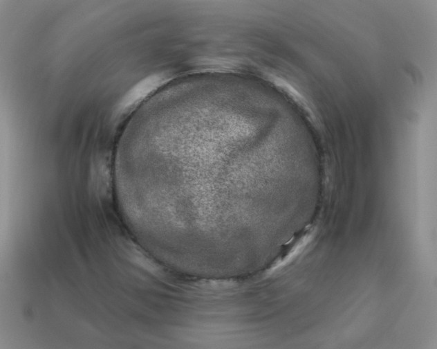 X0000113601354200910091512