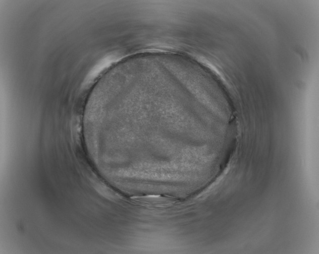 X0000113601355200910091512