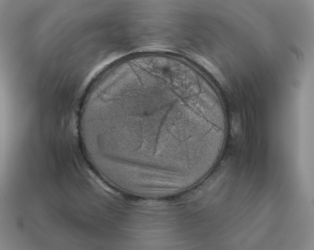 X0000113601356200910091512