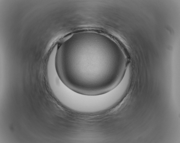 X0000113601357200910091512