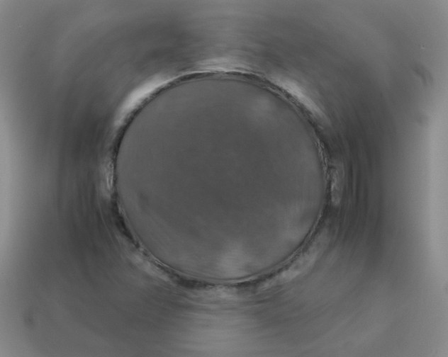 X0000113601358200910091512