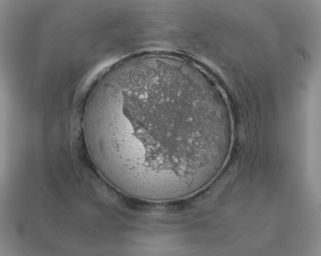 X0000113601359200910091512