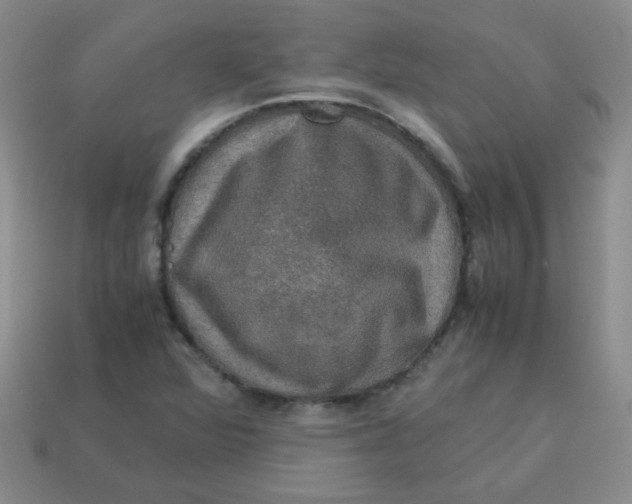 X0000113601360200910091512