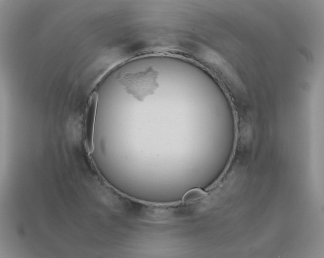 X0000113601361200910091512