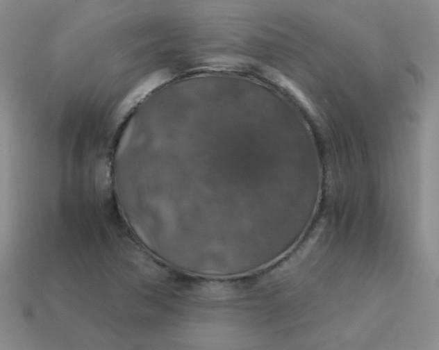 X0000113601362200910091512