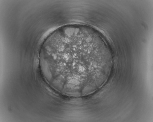 X0000113601363200910091512