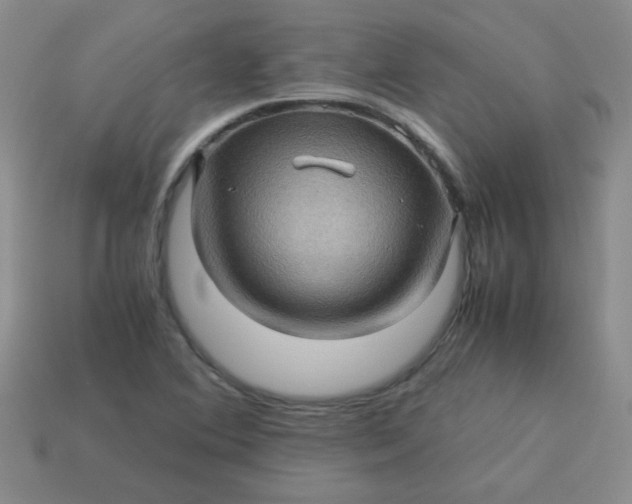 X0000113601364200910091512