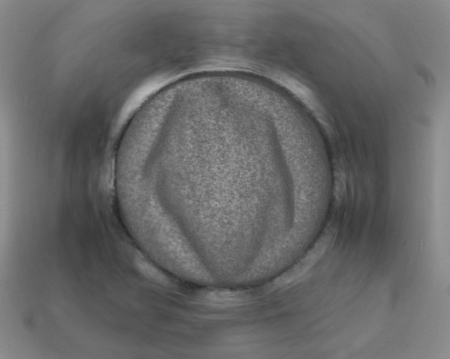 X0000113601366200910091512