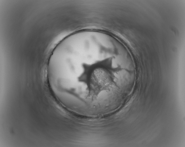 X0000113601367200910091512