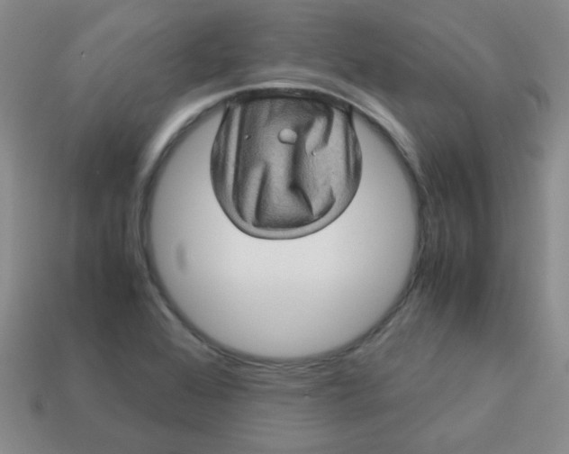 X0000113601368200910091512