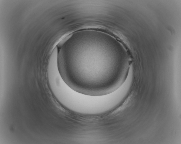 X0000113601369200910091511