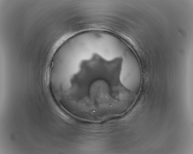 X0000113601371200910091511