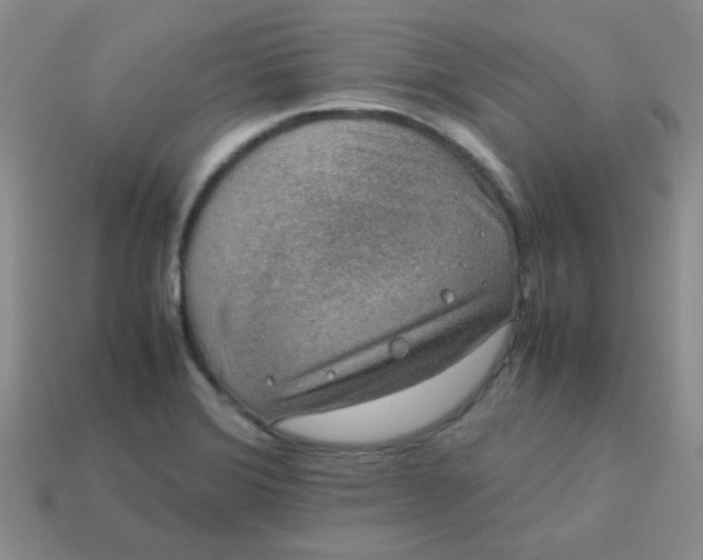 X0000113601372200910091511