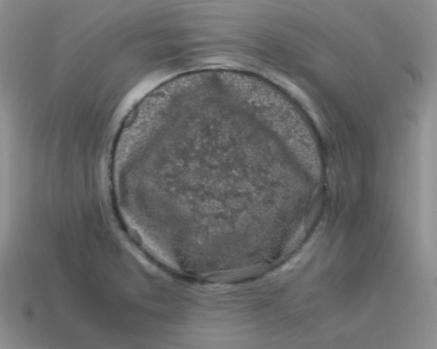 X0000113601373200910091511