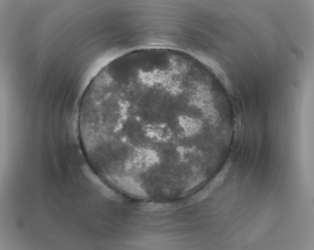 X0000113601374200910091511