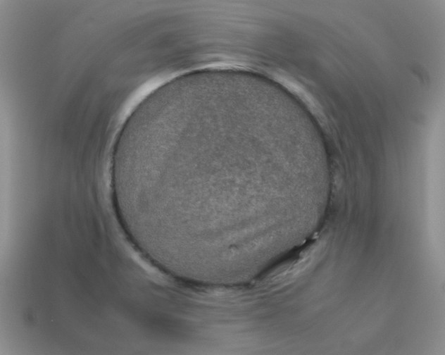 X0000113601375200910091511