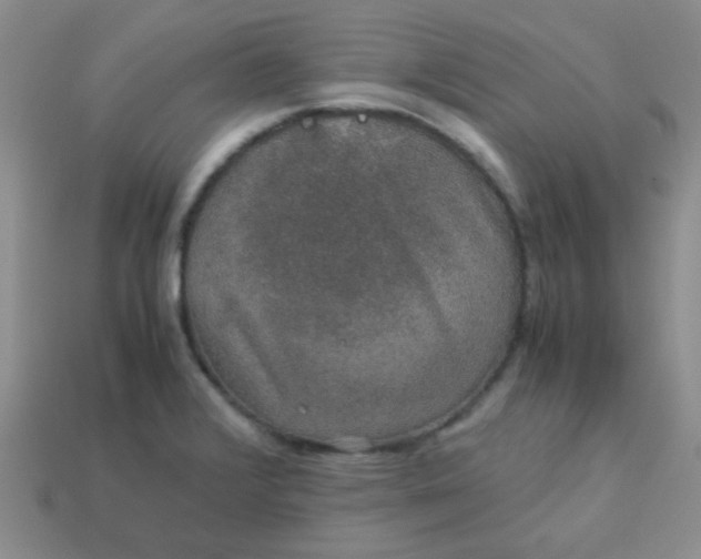 X0000113601376200910091511