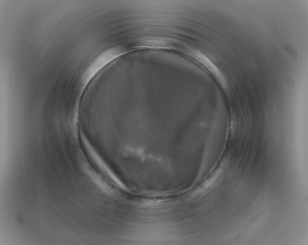 X0000113601378200910091511