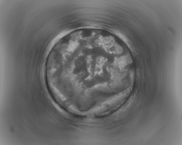 X0000113601379200910091511