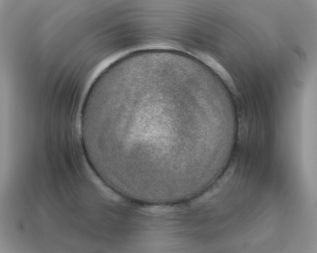 X0000113601380200910091511