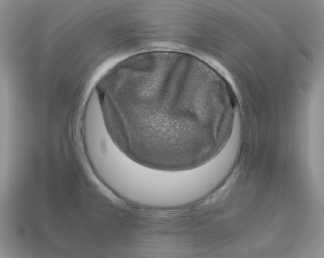 X0000113601381200910091511