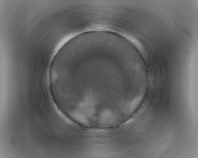 X0000113601382200910091511