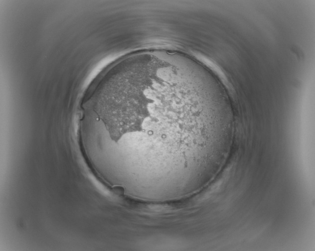 X0000113601383200910091511