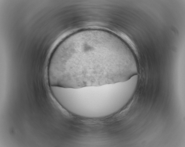 X0000113601384200910091511