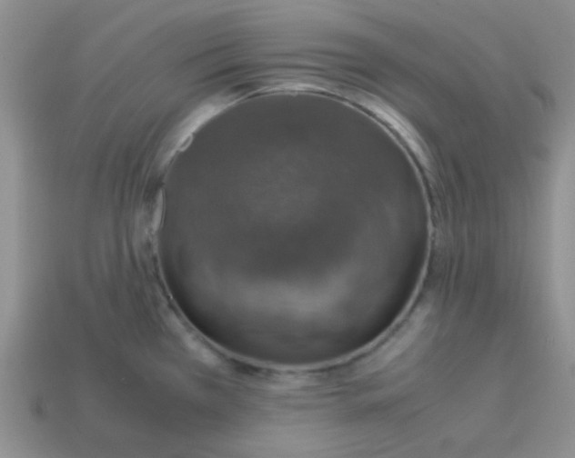 X0000113601385200910091511