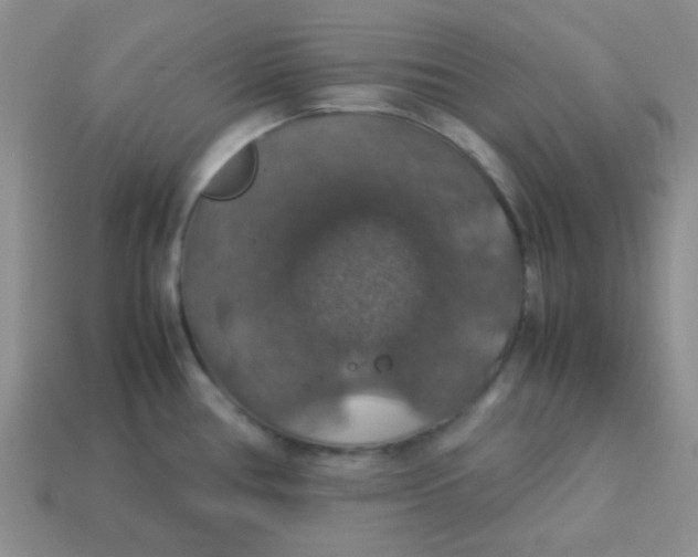 X0000113601386200910091511